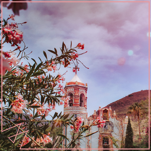 欧美激情免费电影一区
