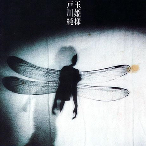 欧美激情免费电影一区
