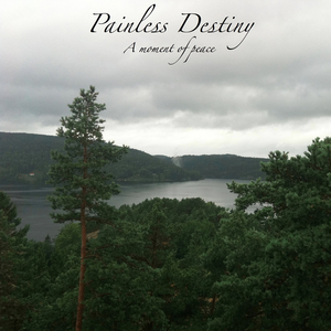 欧美激情免费电影一区
